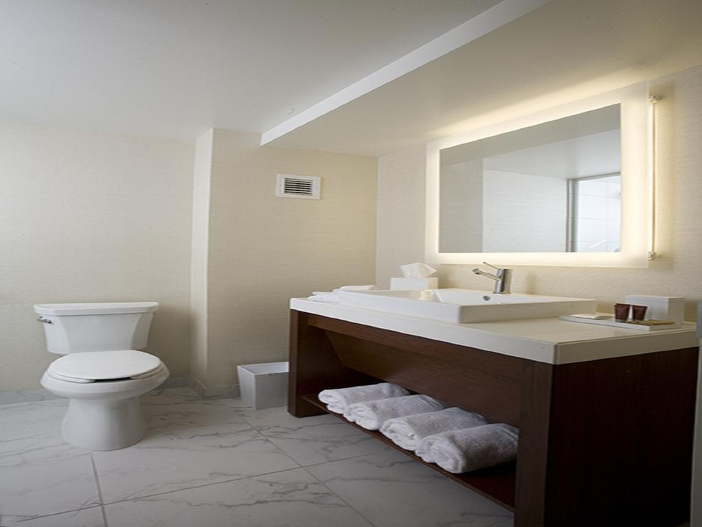 King Suite Jacuzzi Tub Smoking,1772936230:JPEG